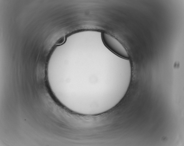 X0000112840015200909111432