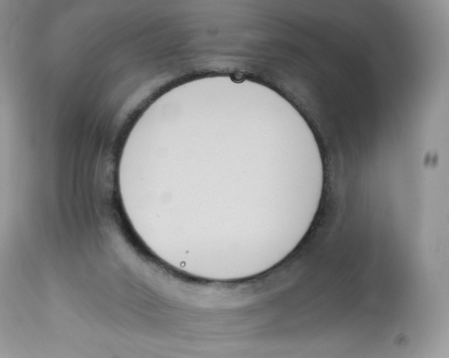 X0000112840016200909111432