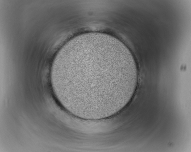 X0000112840018200909111432