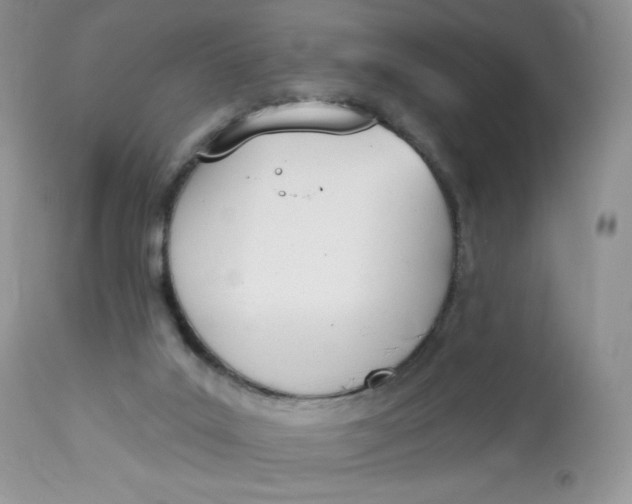 X0000112840019200909111432