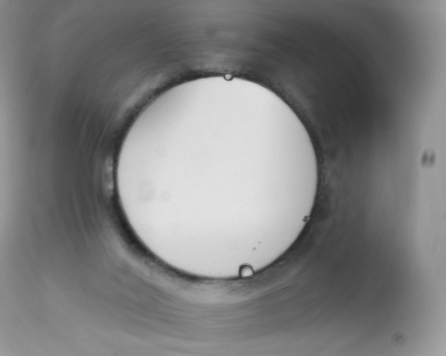 X0000112840020200909111432