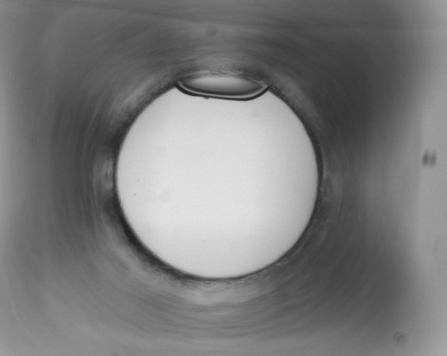 X0000112840021200909111432