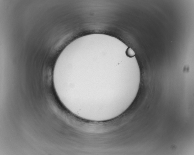 X0000112840024200909111432