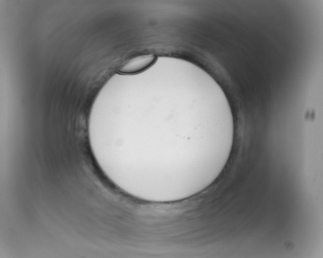 X0000112840025200909111432