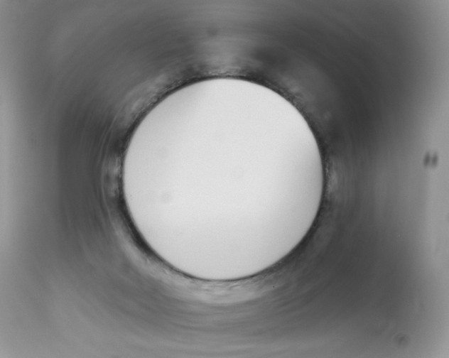 X0000112840026200909111432