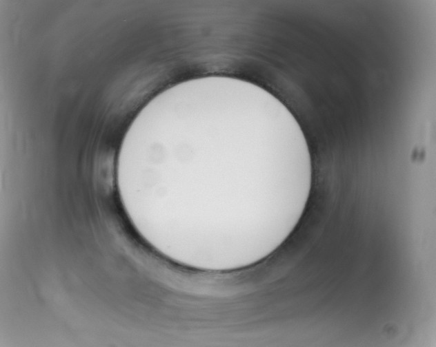 X0000112840028200909111432