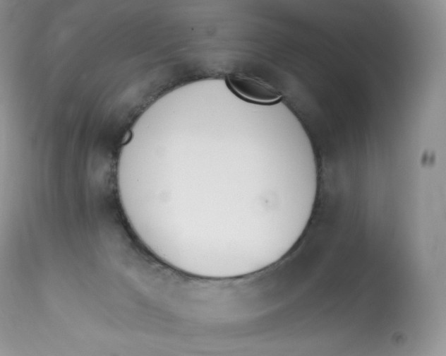 X0000112840029200909111432