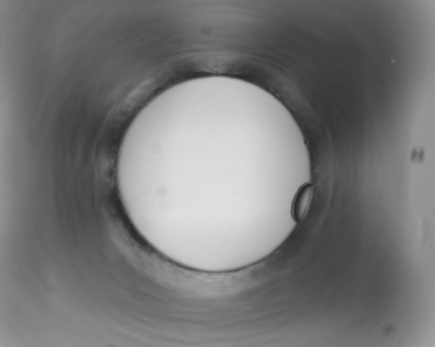 X0000112840031200909111432