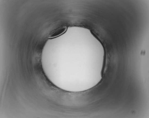 X0000112840033200909111432