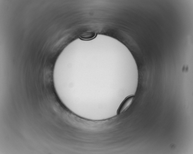 X0000112840035200909111432