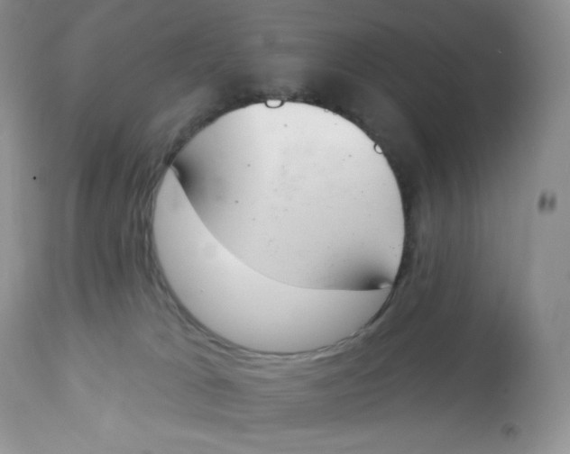 X0000112840037200909111432