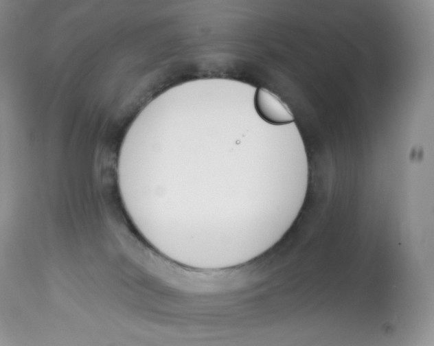 X0000112840038200909111432