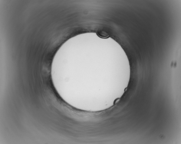 X0000112840040200909111432