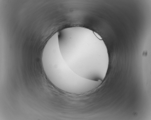 X0000112840041200909111432