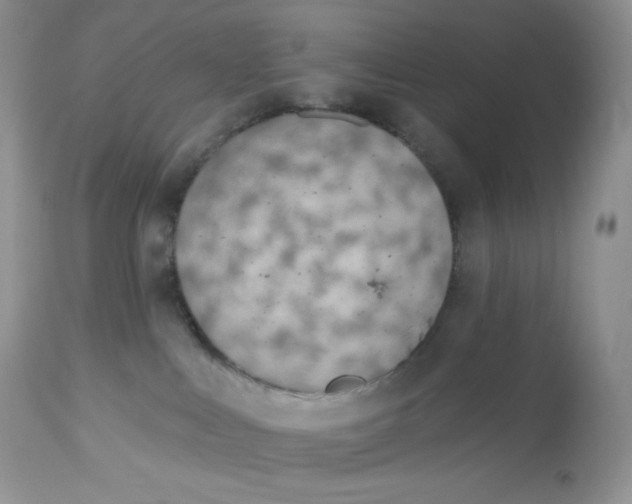 X0000112840043200909111432