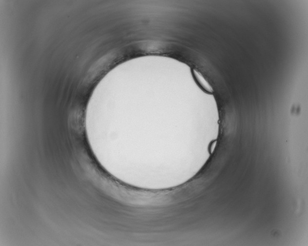 X0000112840044200909111432