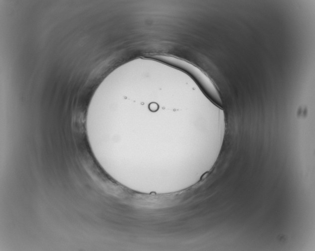 X0000112840045200909111432