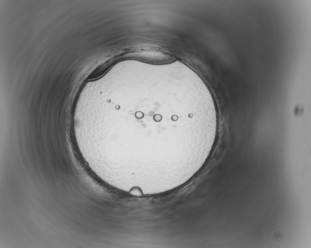 X0000112840049200909111431