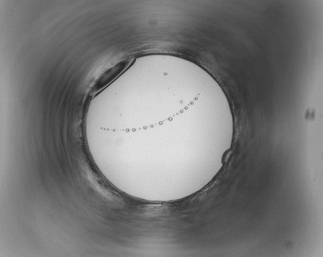 X0000112840050200909111431