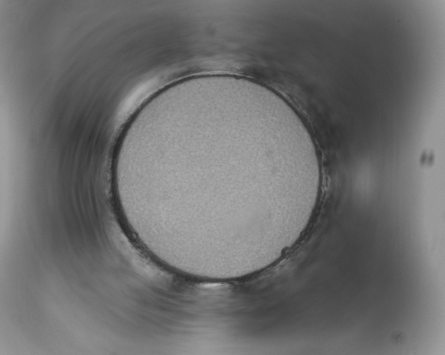 X0000112840053200909111431