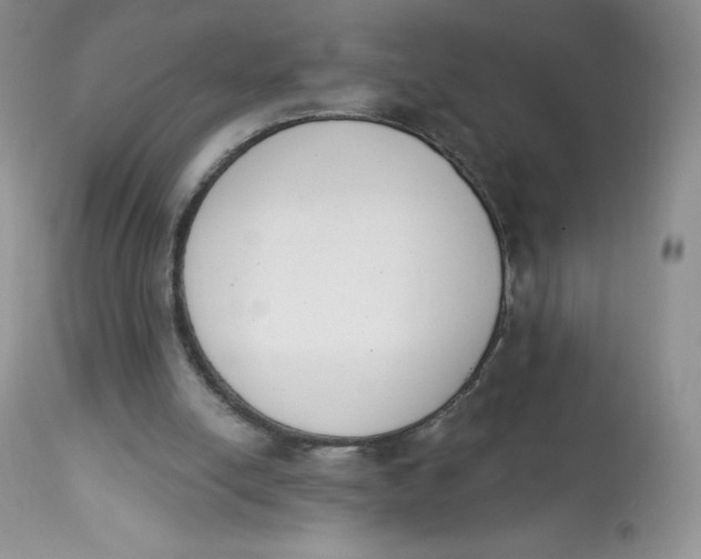 X0000112840054200909111431