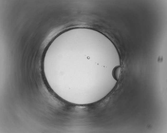 X0000112840055200909111431