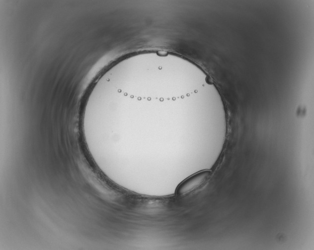 X0000112840056200909111431