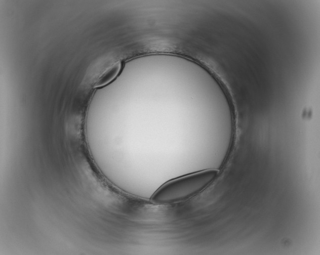 X0000112840057200909111431