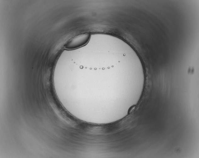 X0000112840058200909111431