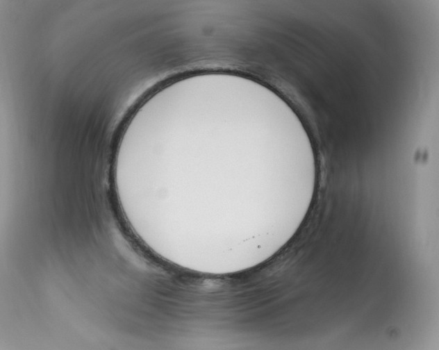 X0000112840060200909111432