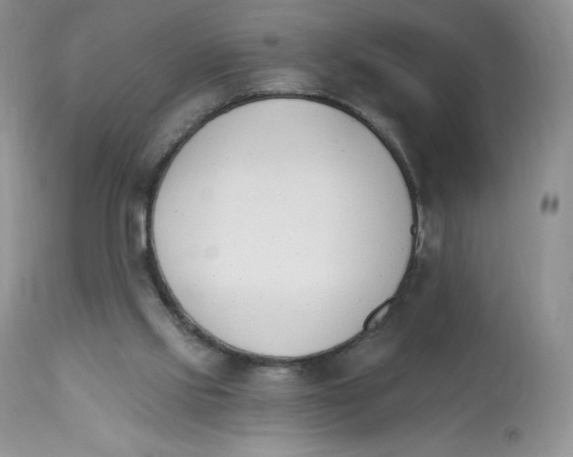 X0000112840061200909111432