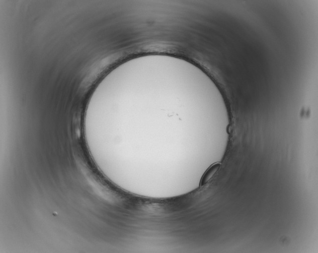 X0000112840062200909111432