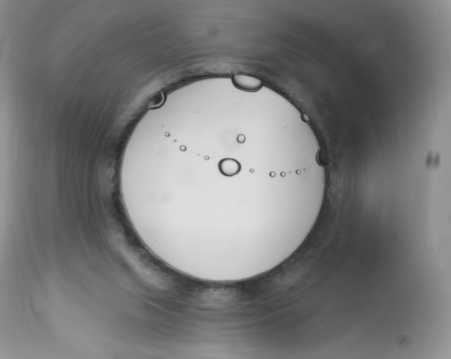 X0000112840063200909111432