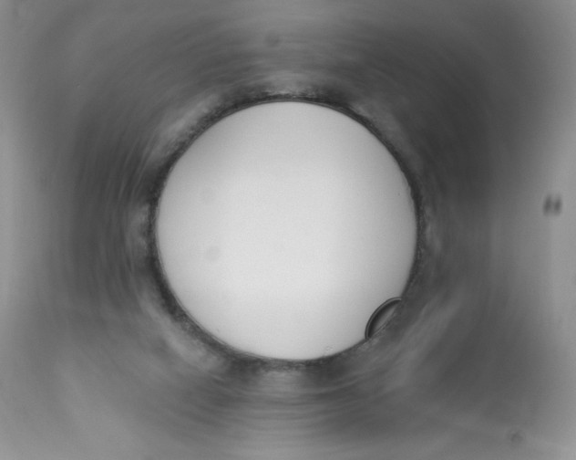 X0000112840066200909111432