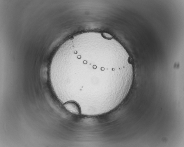 X0000112840067200909111432