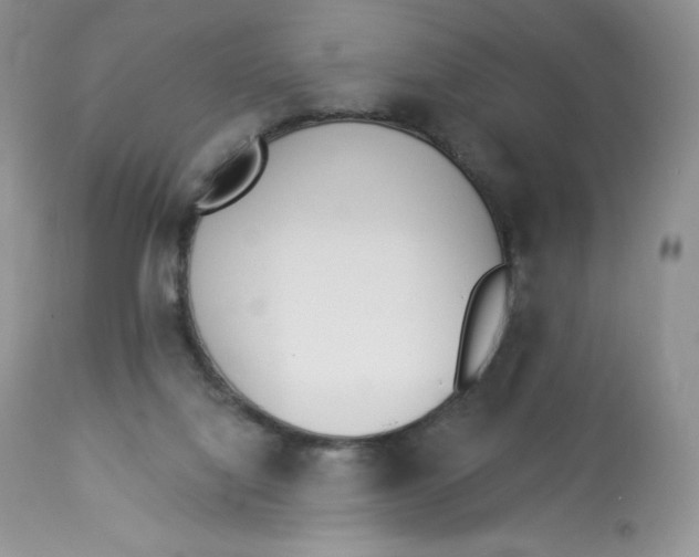 X0000112840068200909111432