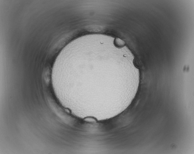 X0000112840069200909111432