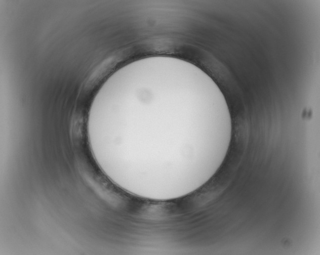 X0000112840072200909111432