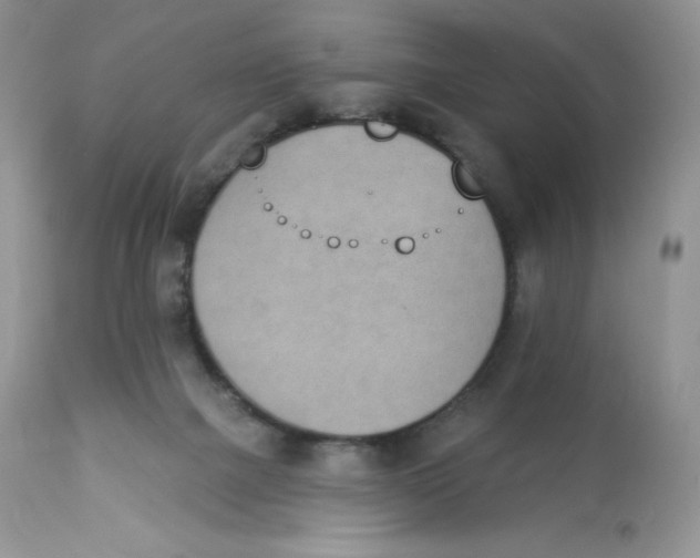 X0000112840073200909111432