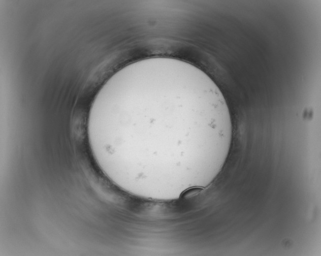 X0000112840074200909111432