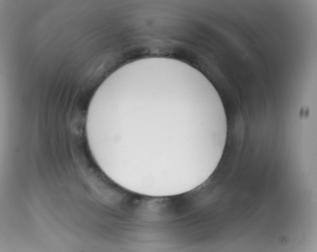 X0000112840078200909111432