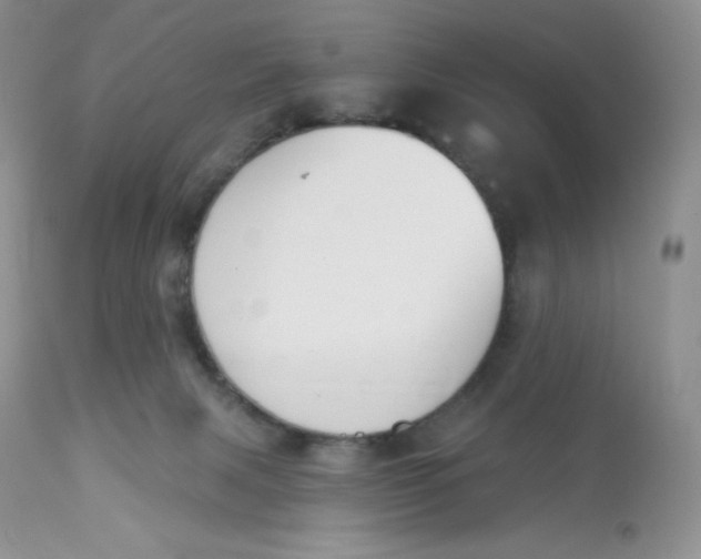 X0000112840079200909111432