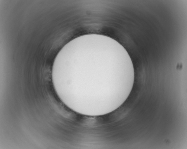 X0000112840083200909111432