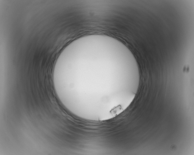 X0000112840084200909111432