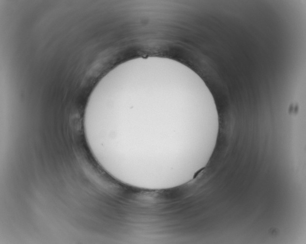 X0000112840086200909111432