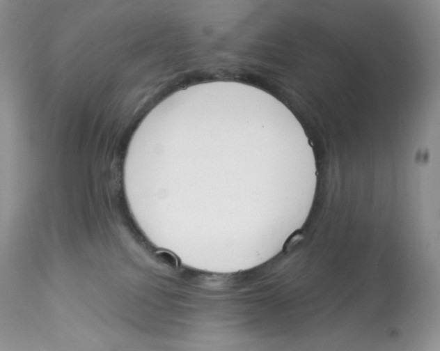 X0000112840088200909111432