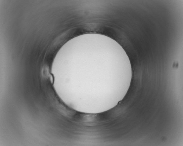 X0000112840089200909111432