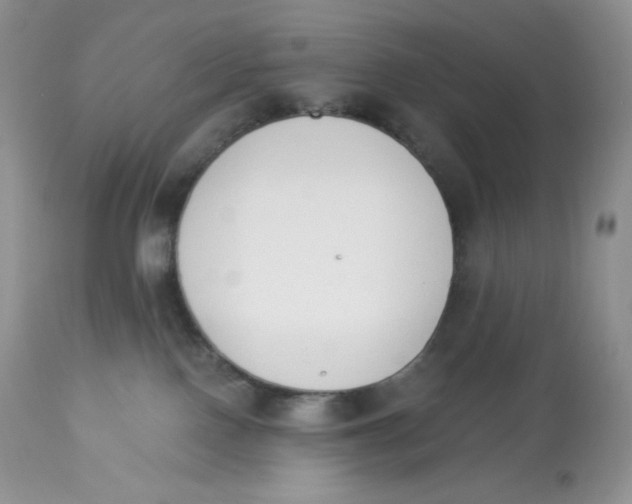 X0000112840090200909111432