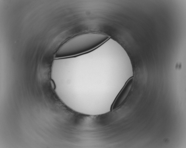 X0000112840092200909111432