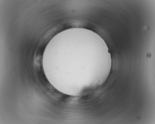 X0000112840093200909111432